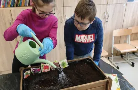 Zakładamy klasowe ogródki z Samorządem Uczniowskim 