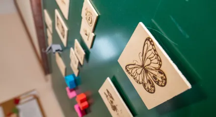 Cyfrowe centrum uzawodowienia