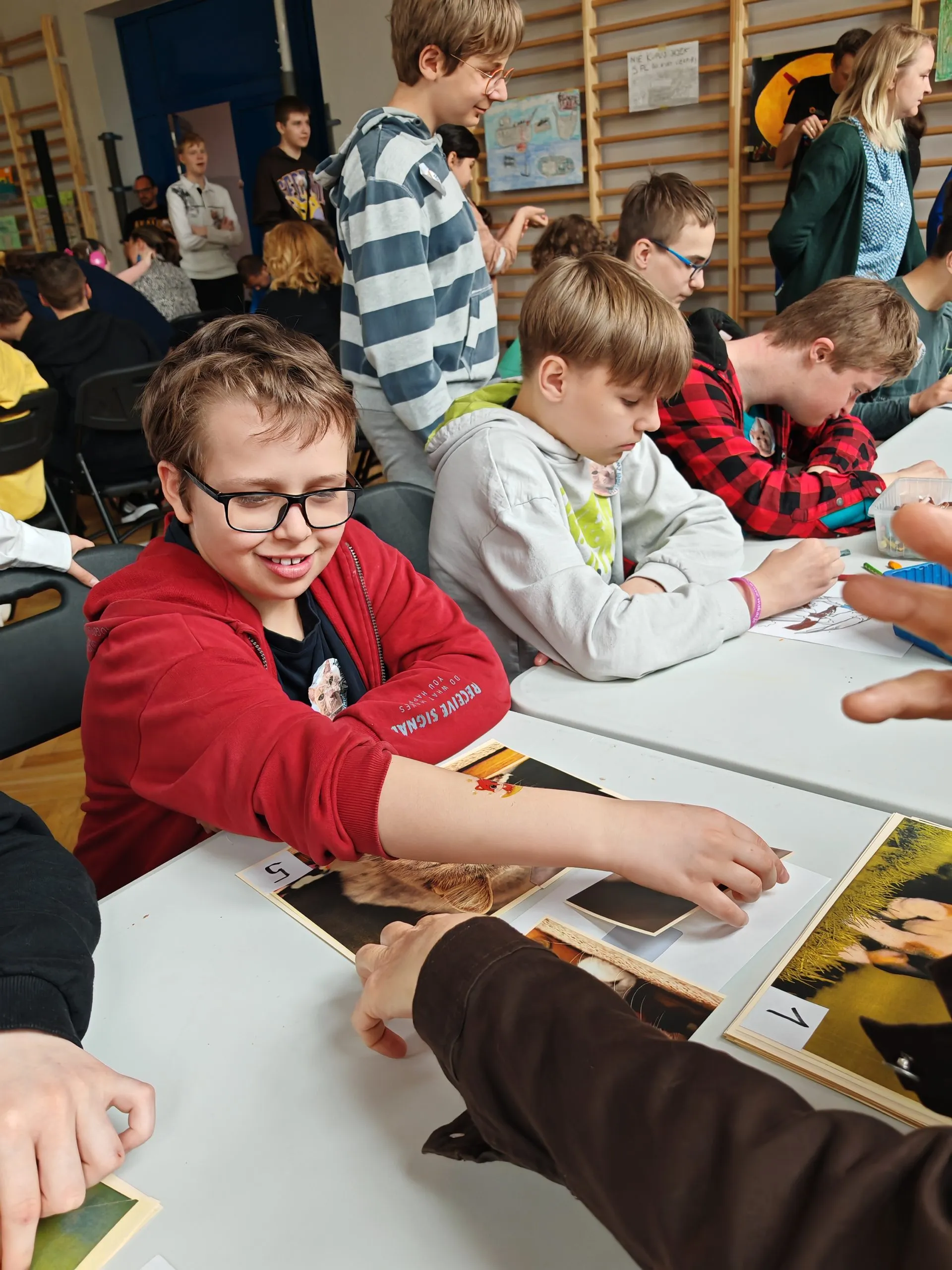 Festyn z okazji Dnia Praw Zwierząt