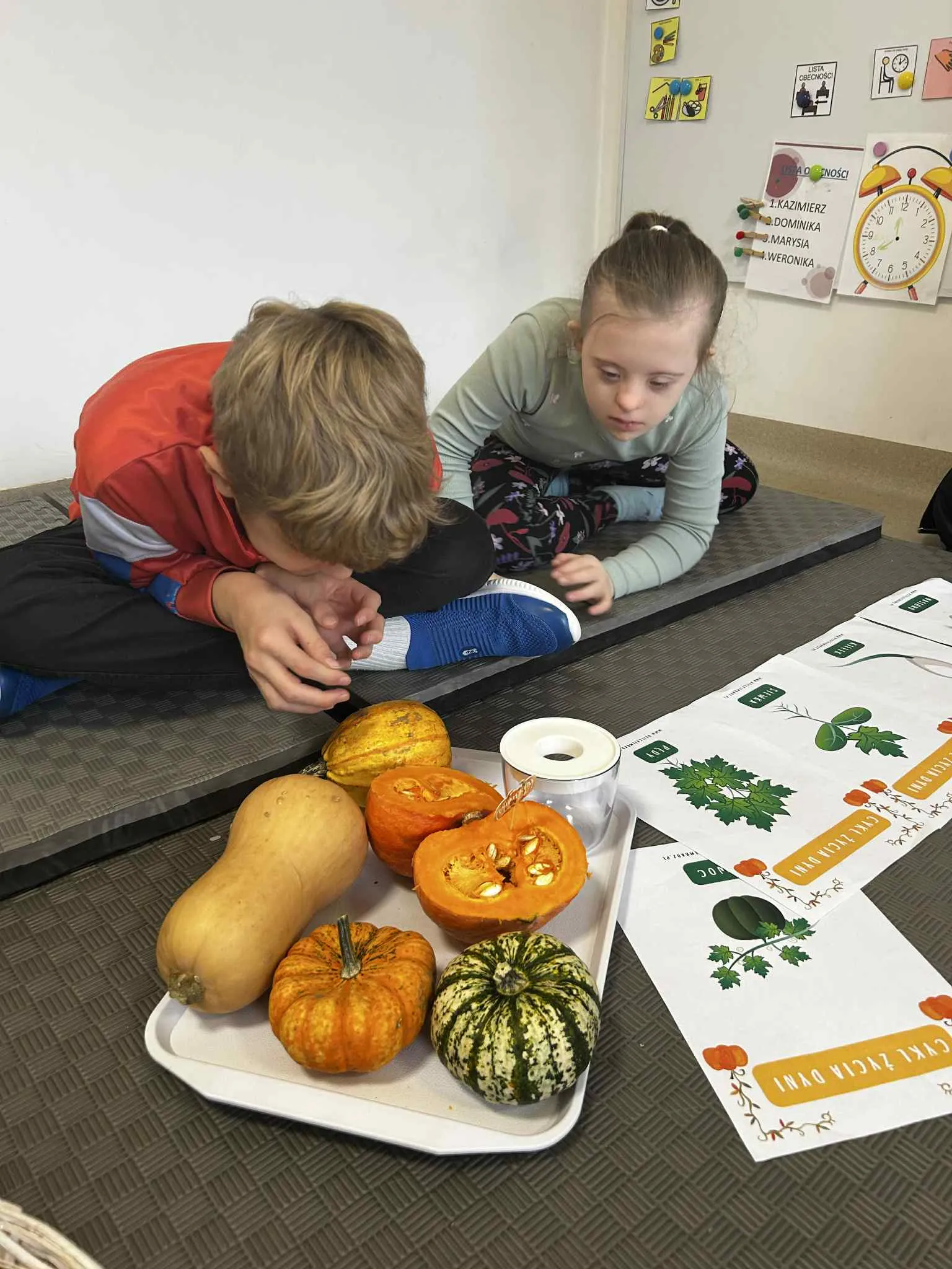 Na zdjęciu widzimy dwoje uczniów, siedzących na macie rozłożonej na podłodze.  Obok dzieci  leża dynie ułożone na tacy oraz  karty z ćwiczeniami o tematyce dyni. Dzieci przyglądają się dyniom.