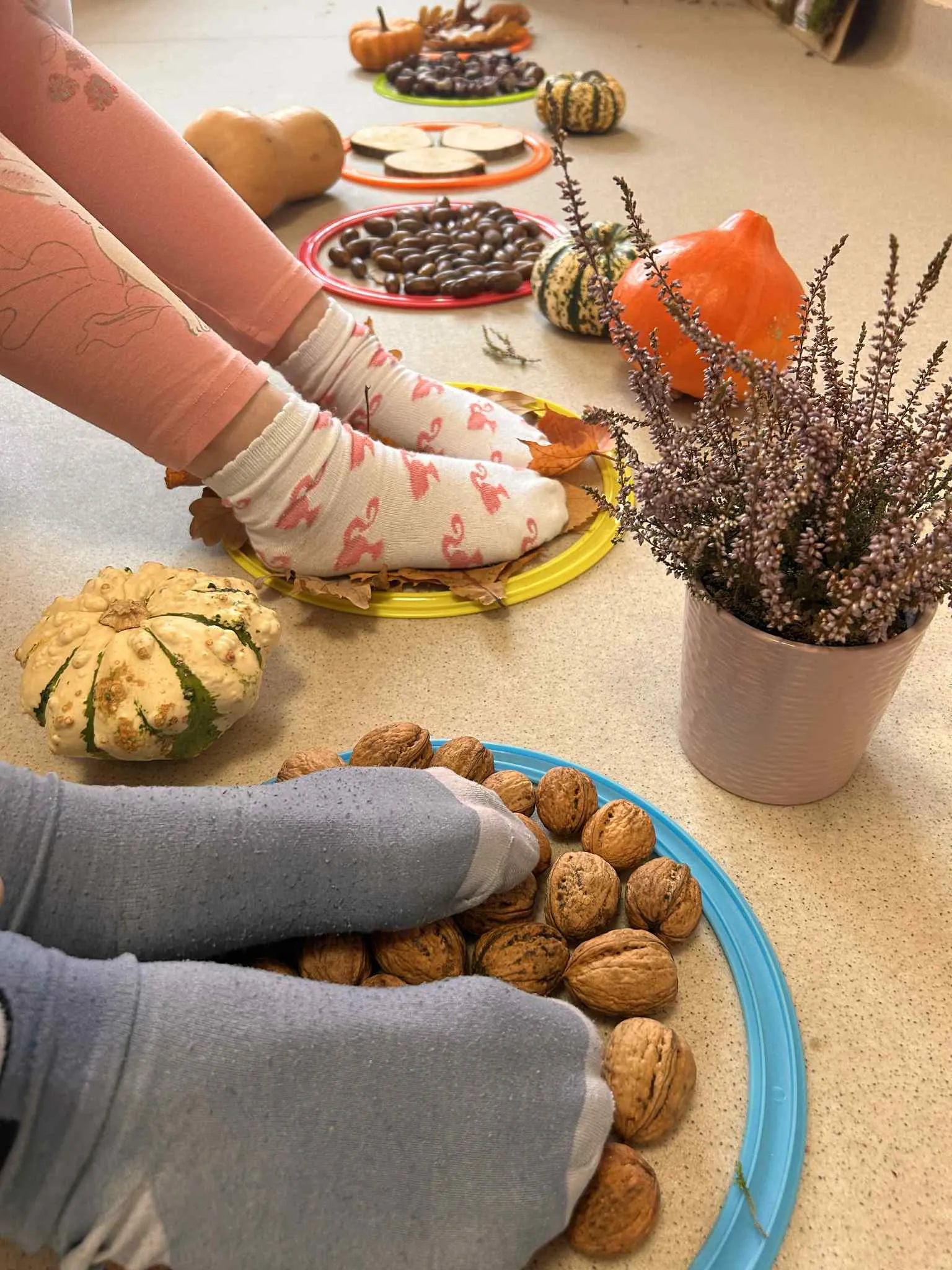 Dwoje uczniów dotyka stopami ułożone na tacach na podłodze  dary natury: orzechy i liście. Na zdjęciu widoczne są również ułożone na tacach żołędzie, kasztany, kawałki pni drzew. Widoczne też są poukładane obok dynie oraz wrzosy w doniczce.  