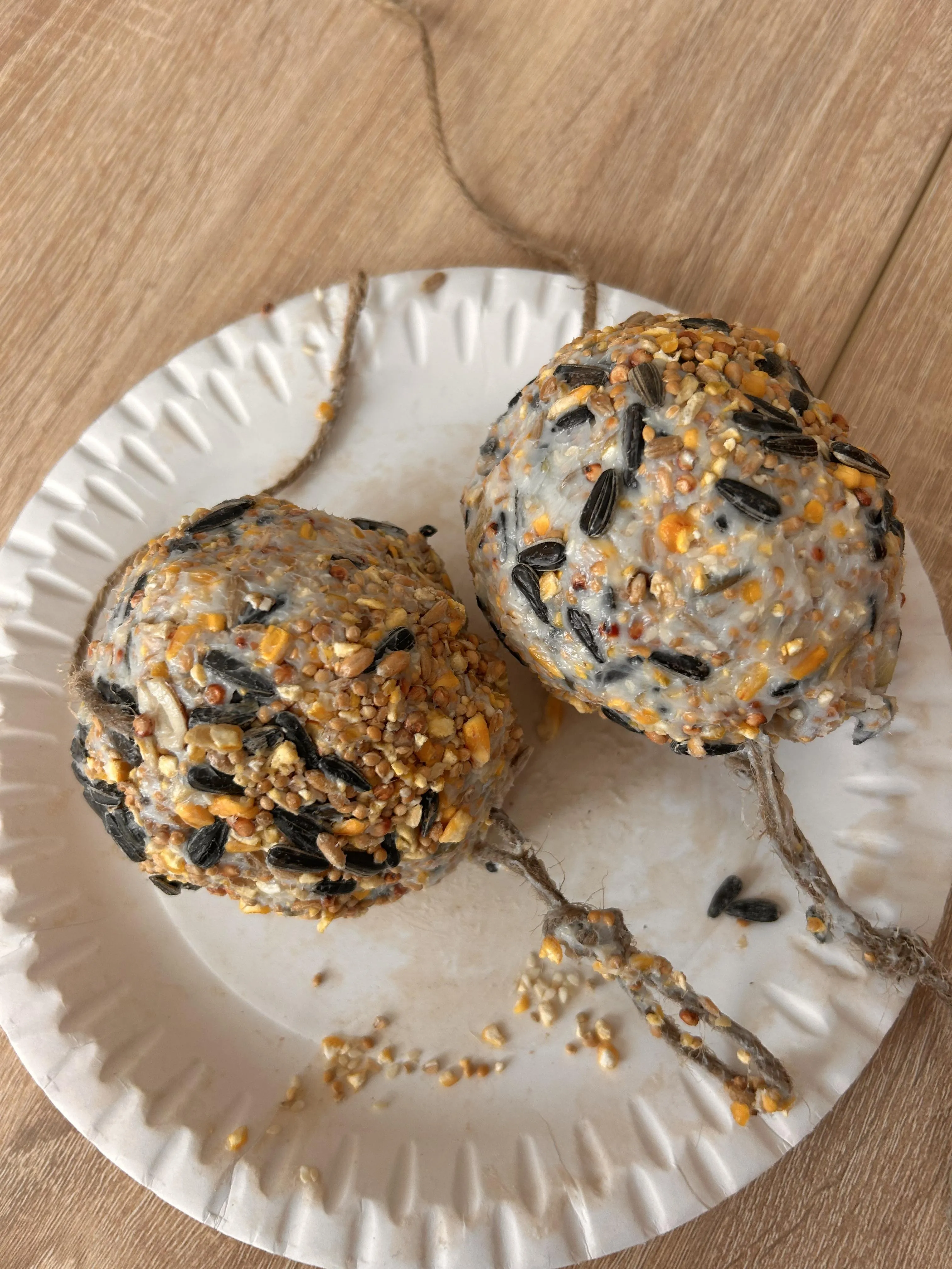 przygotowane przez uczniów kule pokarmowe dla ptaków