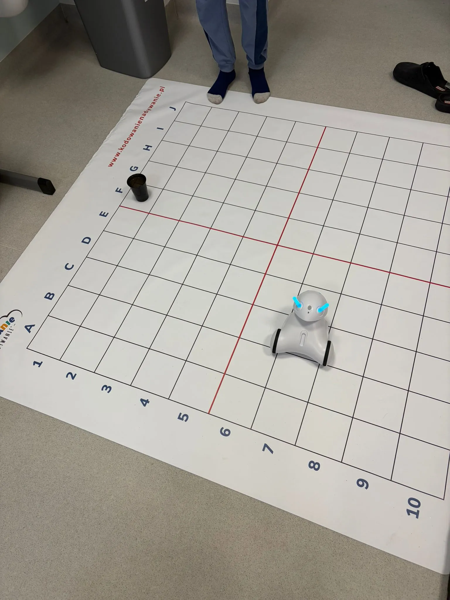Zajęcia z wykorzystaniem robotyki i programowania (2828)