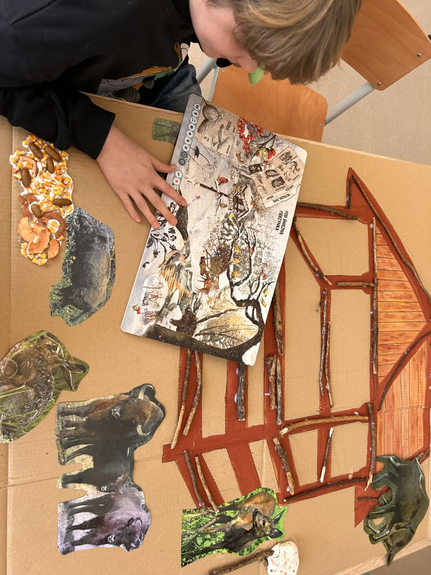 Uczeń na rozłożonych kartonach imitujących podłoże leśne wyszukuje tropy zwierząt