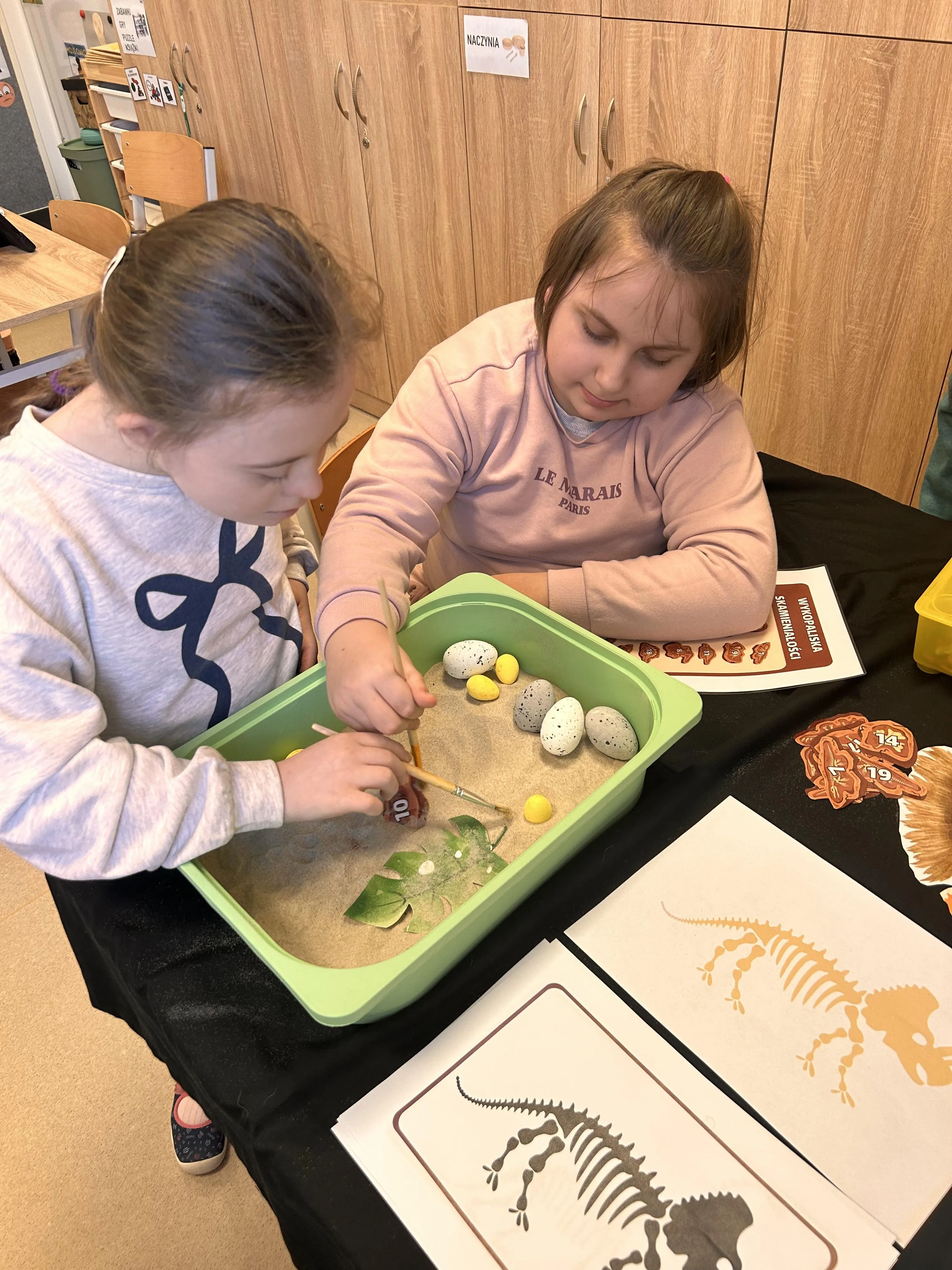 Dwie  uczennice wyszukują szkielety dinozaurów  w pojemniku z piaskiem. Przed nimi porozkładane są wzory szkieletów