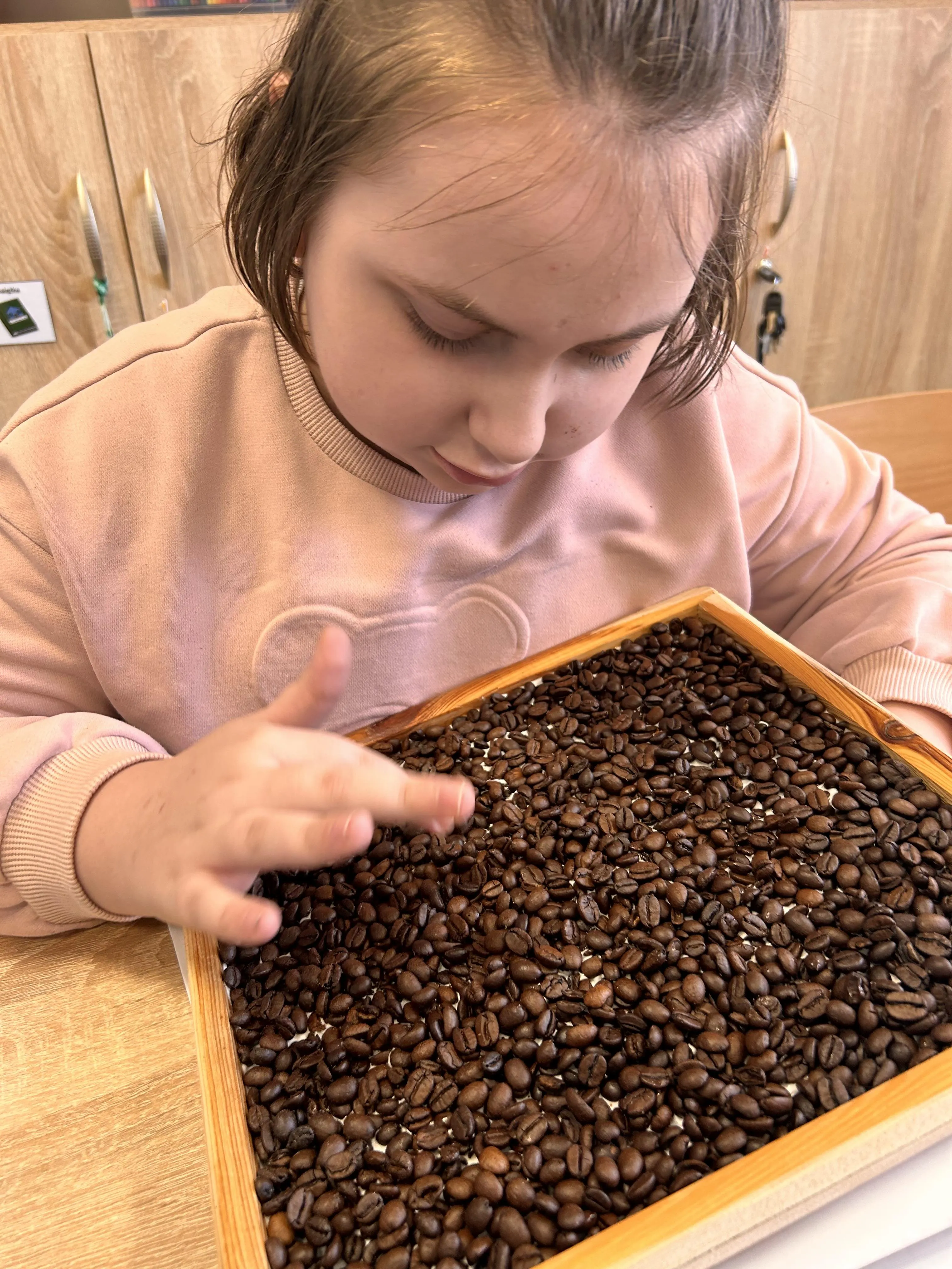 Na zdjęciu uczennica , pochylona nad drewnianą tacą, w której znajdują się  ziarna kawy. Uczennica dotyka te ziarna.