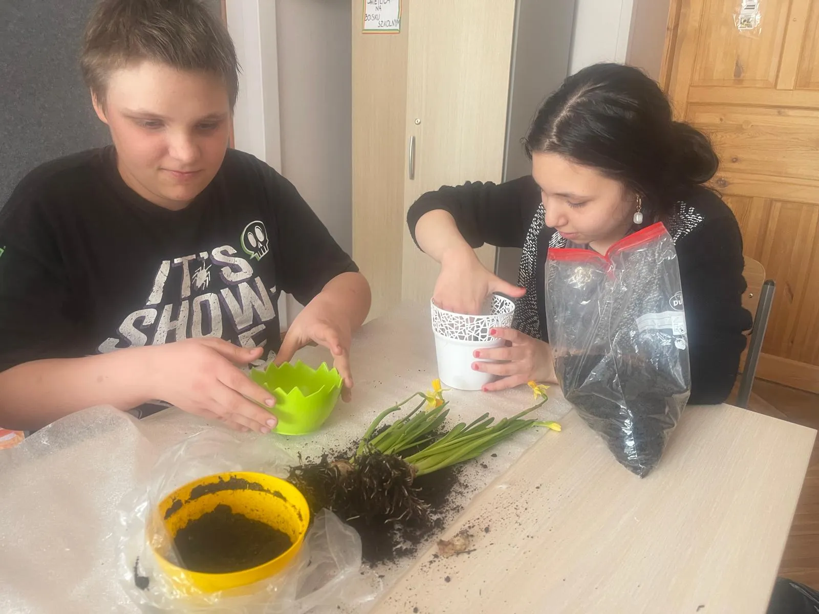 dziewczynka i chłopiec sadzą żonkile