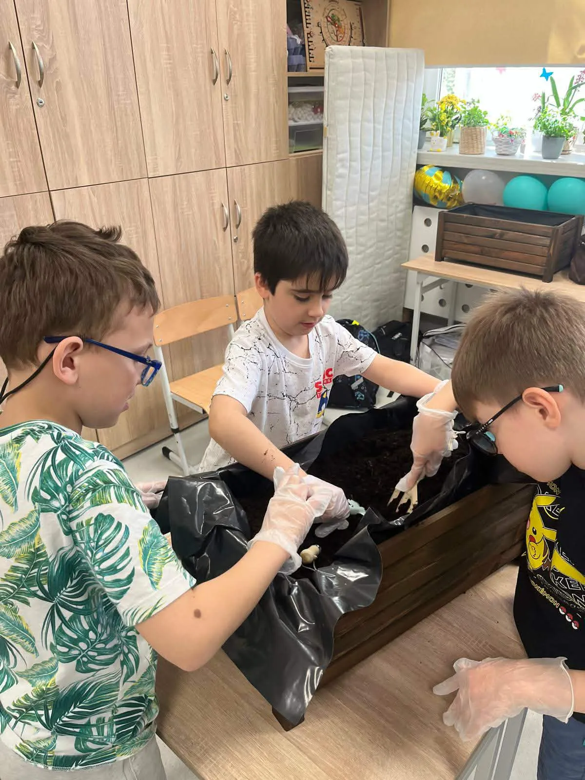 chłopcy sadzą rosliny w dioniczce