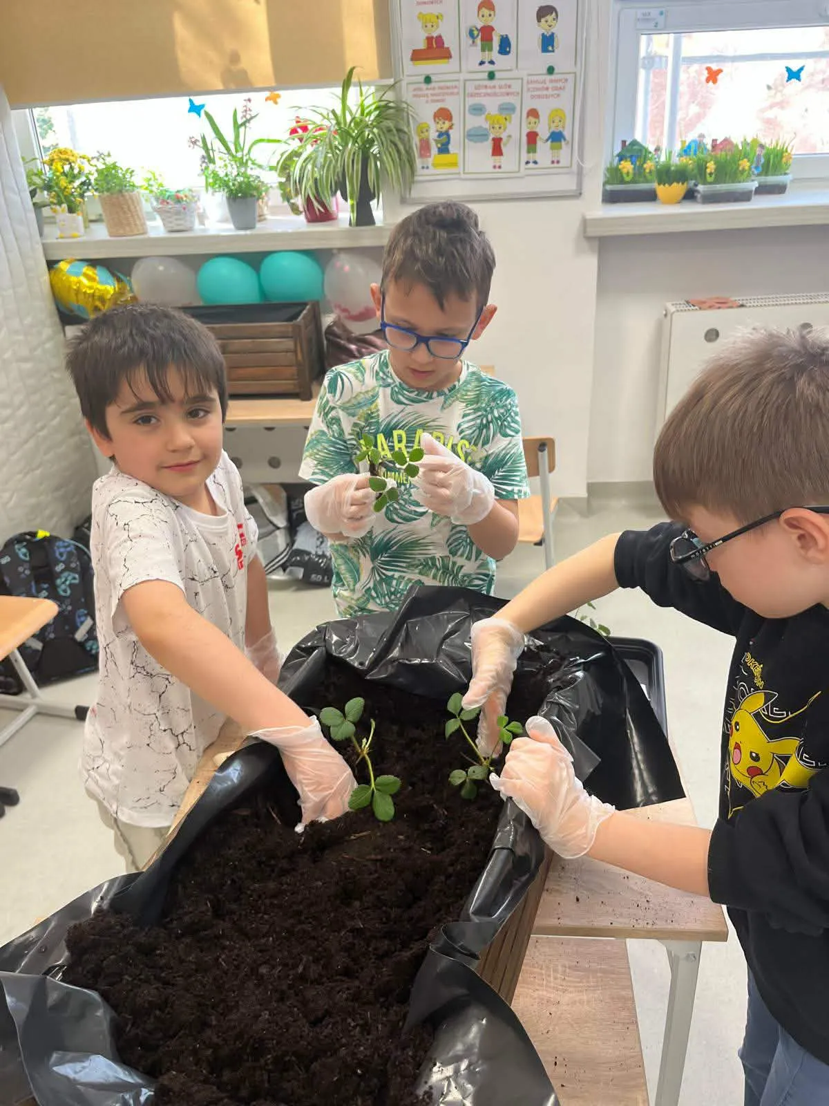 chłopcy sadzą rośliny w donicy 