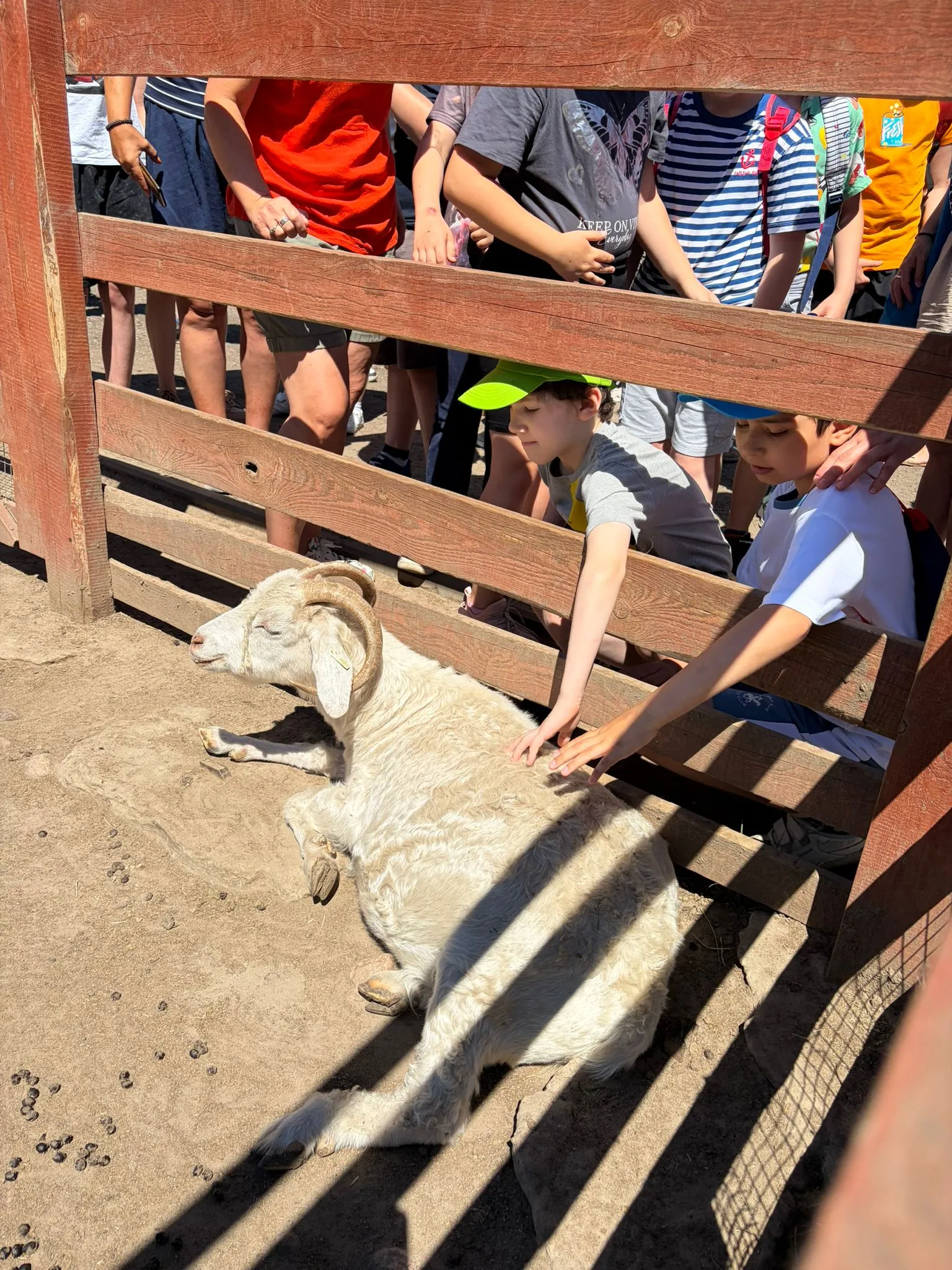 Wycieczka uczniów klas I–III na farmę w Goławicach